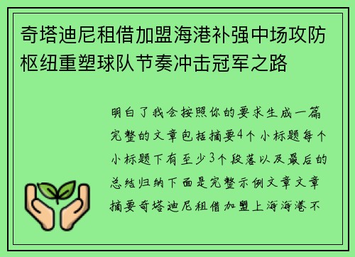 奇塔迪尼租借加盟海港补强中场攻防枢纽重塑球队节奏冲击冠军之路